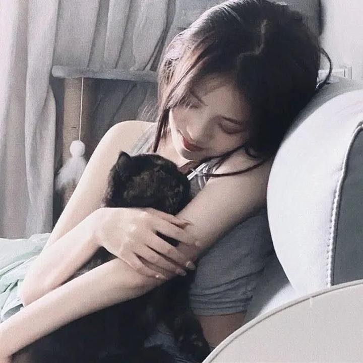 心宅猎人